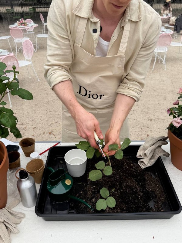 Dior Beauty в саду Тюллери: шатёр, чай и сервировка