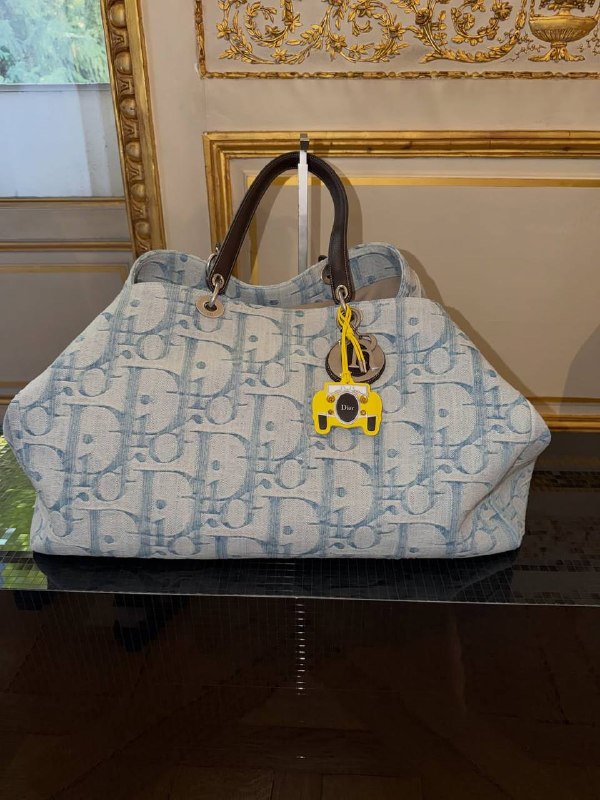 Сумка Dior Men's в стиле литературной книги