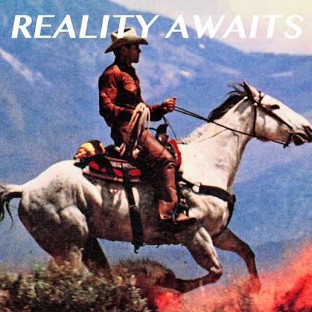 Обложка Reality Awaits